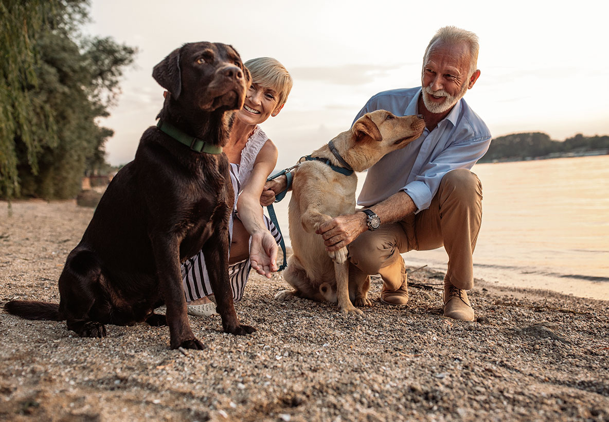 Happy Couple With Their Dogs